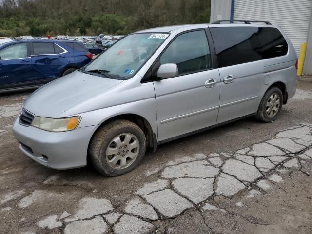 2004 Honda Odyssey EXL