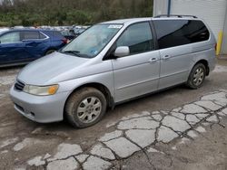 Honda salvage cars for sale: 2004 Honda Odyssey EXL