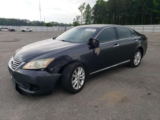 2010 Lexus ES 350