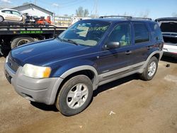 Salvage cars for sale from Copart Pekin, IL: 2002 Ford Escape XLT
