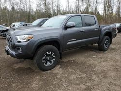 Salvage cars for sale from Copart Bowmanville, ON: 2023 Toyota Tacoma Double Cab