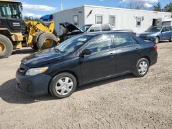 Salvage cars for sale from Copart Lyman, ME: 2012 Toyota Corolla Base