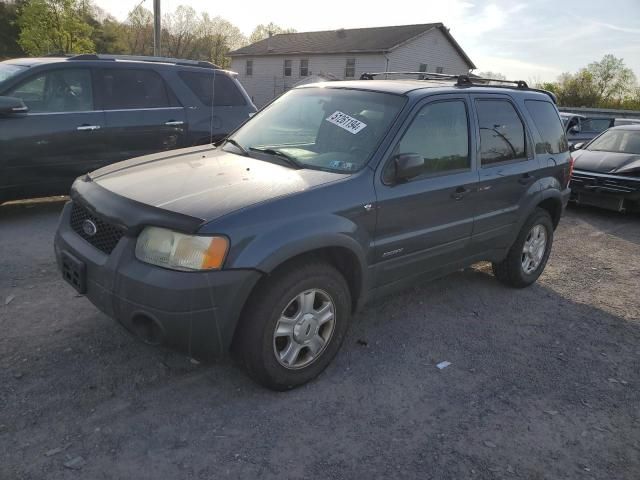 2001 Ford Escape XLT