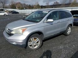 Salvage cars for sale from Copart Grantville, PA: 2010 Honda CR-V EXL