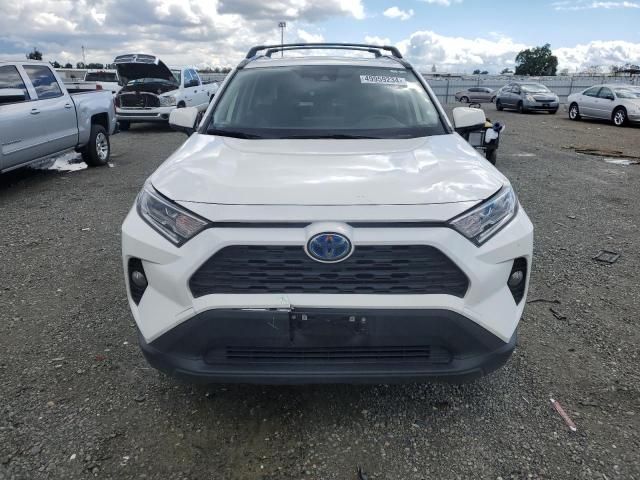 2021 Toyota Rav4 XLE