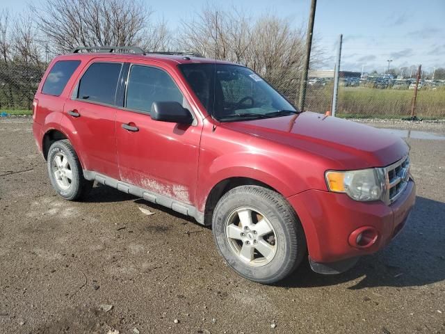 2010 Ford Escape XLT