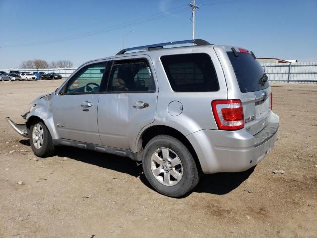 2010 Ford Escape Hybrid