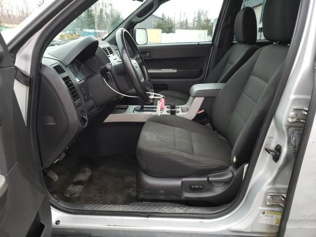 2009 Ford Escape XLT