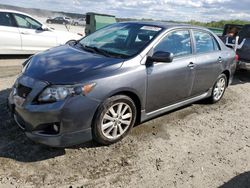 Salvage cars for sale at Spartanburg, SC auction: 2010 Toyota Corolla Base