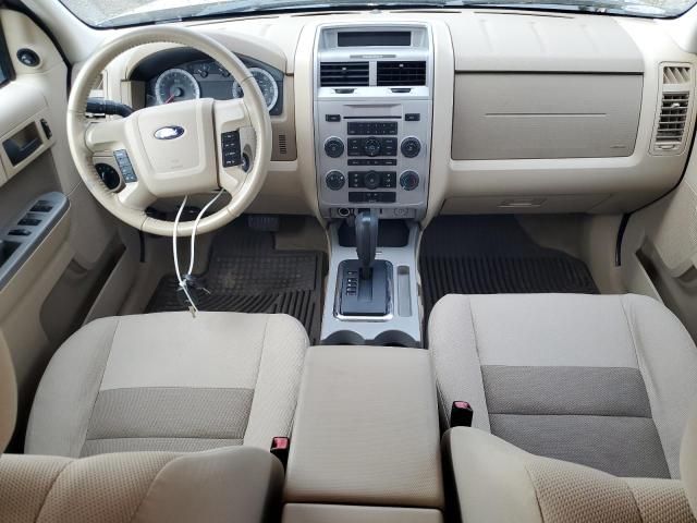 2009 Ford Escape XLT