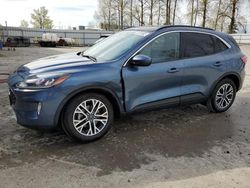 Ford Escape salvage cars for sale: 2020 Ford Escape SEL