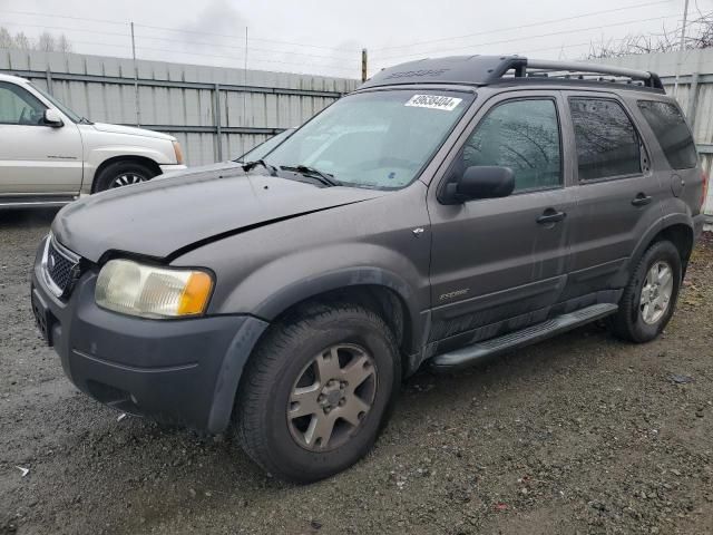 2002 Ford Escape XLT