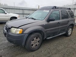 Salvage cars for sale at Arlington, WA auction: 2002 Ford Escape XLT