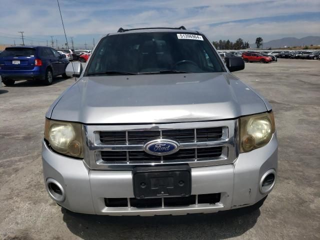 2011 Ford Escape Limited