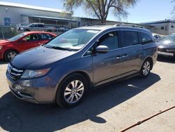 Salvage cars for sale from Copart Albuquerque, NM: 2014 Honda Odyssey EXL