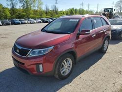 KIA Sorento LX Vehiculos salvage en venta: 2014 KIA Sorento LX