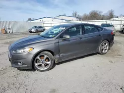 Salvage cars for sale at Albany, NY auction: 2013 Ford Fusion SE