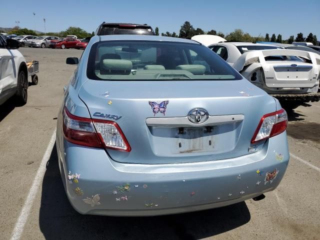 2009 Toyota Camry Hybrid