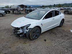 2022 Tesla Model 3 for sale in San Martin, CA