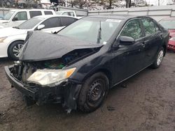Salvage cars for sale at New Britain, CT auction: 2013 Toyota Camry L