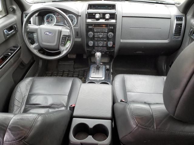 2010 Ford Escape Limited