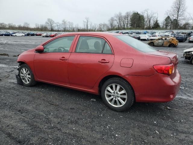 2010 Toyota Corolla Base