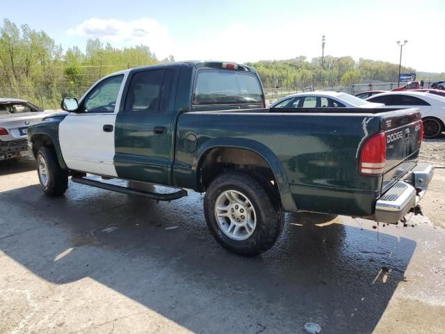 2001 Dodge Dakota Quattro