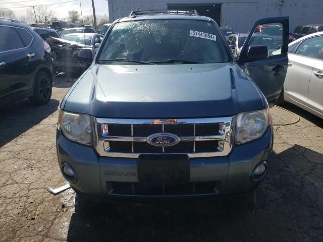 2010 Ford Escape XLT