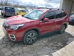 Subaru Forester Limited salvage cars for sale: 2019 Subaru Forester Limited