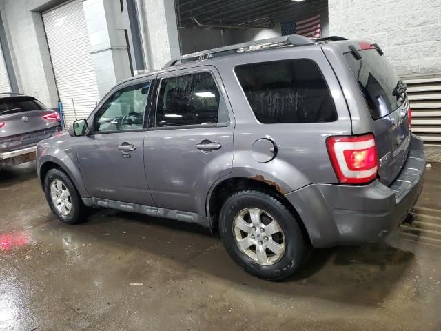 2010 Ford Escape Limited