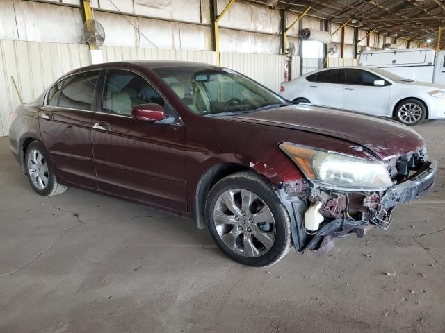 2009 Honda Accord EXL