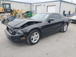 Salvage cars for sale from Copart Orlando, FL: 2013 Ford Mustang