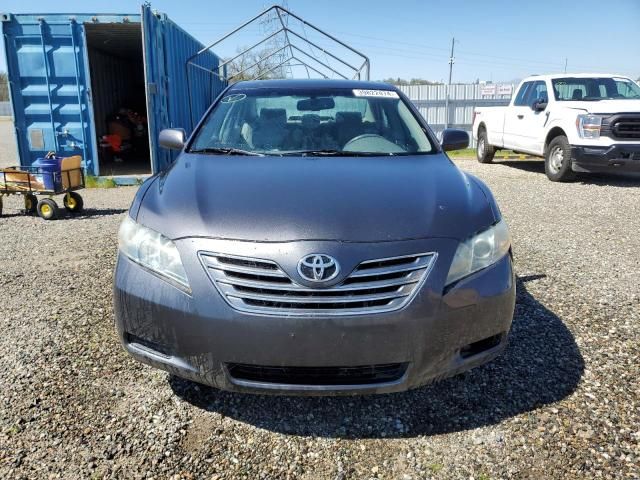 2009 Toyota Camry Hybrid