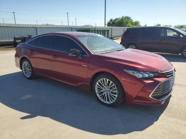 2019 Toyota Avalon XLE