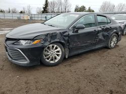 Salvage cars for sale from Copart Bowmanville, ON: 2022 Toyota Camry LE