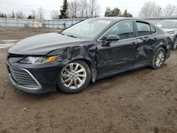 Toyota salvage cars for sale: 2022 Toyota Camry LE