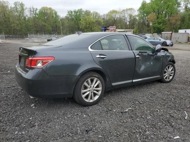 2010 Lexus ES 350