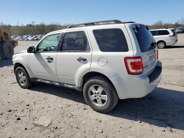 2009 Ford Escape XLT