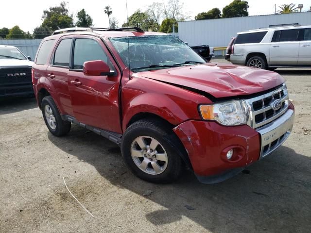 2010 Ford Escape Limited