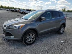 Salvage cars for sale at Lawrenceburg, KY auction: 2014 Ford Escape Titanium