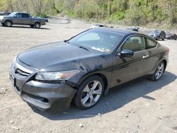 Vehiculos salvage en venta de Copart Marlboro, NY: 2012 Honda Accord EXL