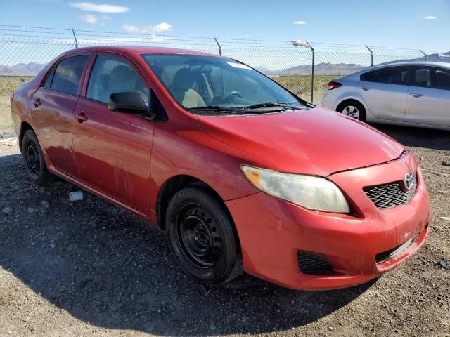 2010 Toyota Corolla Base