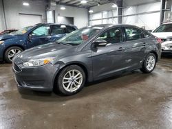 Ford Focus salvage cars for sale: 2017 Ford Focus SE