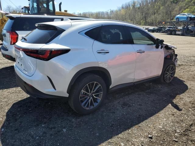 2024 Lexus NX 350 Base