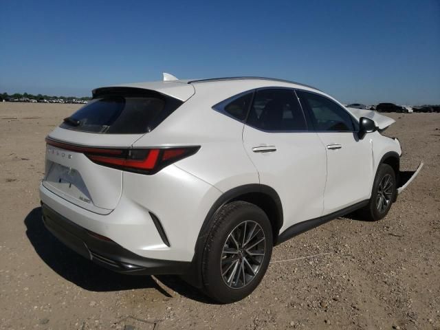 2024 Lexus NX 250 Premium