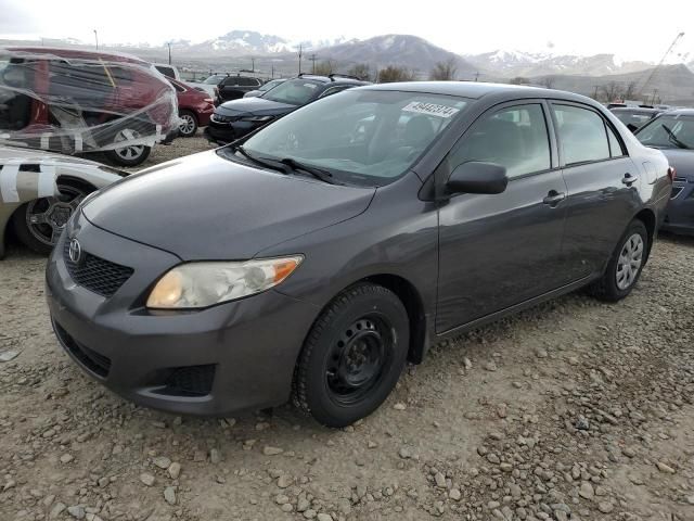 2009 Toyota Corolla Base