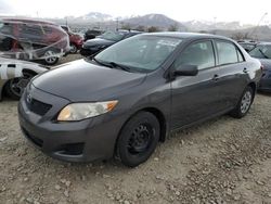 Toyota salvage cars for sale: 2009 Toyota Corolla Base