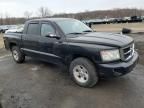 2008 Dodge Dakota Quad SLT