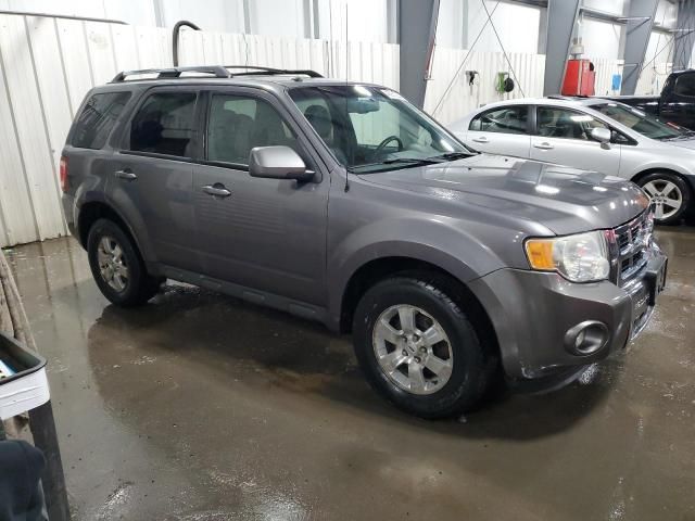 2010 Ford Escape Limited