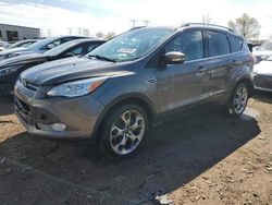 Ford Escape Titanium salvage cars for sale: 2014 Ford Escape Titanium